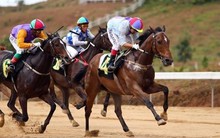 Giá hạt nhựa PVC phá đáy 3 năm, cổ phiếu ngành nhựa đồng loạt bứt tốc