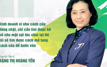 Bà Đặng Thị Hoàng Yến không còn là đại diện pháp luật của Tân Tạo