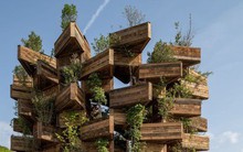 Chiêm ngưỡng ''khu vườn trên mây'' độc đáo nhất thế giới