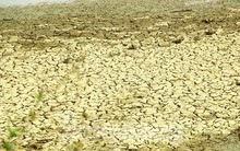 Nắng nóng khốc liệt, nhiều hồ đập ở Nghệ An cạn trơ đáy