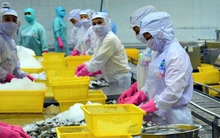 Sau lập đỉnh 11 tỷ USD, xuất khẩu thuỷ sản tiếp tục sụt giảm mạnh