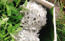 Loại rau mọc dại khắp cánh đồng, được dùng làm bánh, làm thuốc dưỡng phổi, hạ huyết áp