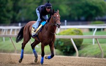 Kỳ lạ giới doanh nhân, CEO đổ xô đi xem huấn luyện ngựa: Người thường nghĩ trò vô bổ, người am hiểu sẽ thấy cơ hội hái ra tiền