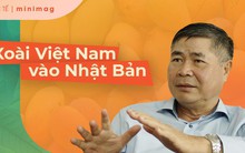 Đại sứ xách ba lô về nông thôn Nhật và màn "bài binh" khéo léo giúp xoài Việt mở cửa thị trường khó tính