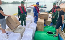 Bắt giữ tàu vận chuyển 17.000 lít dầu DO trái phép trên biển