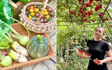 Chi 10 triệu cho mảnh vườn thứ hai sau khi đã có "vựa rau" rộng 70m2: Nhìn mê, chăm thì không dễ!