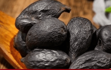 Hé lộ cây nấm như quả trứng đen, vài triệu 1 lạng nhưng người đào được không bán