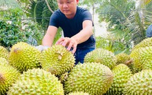 Để trái cây tỉ USD không là giấc mơ