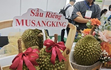 Trung Quốc mua tới 95% lượng sầu riêng xuất khẩu của Việt Nam