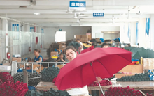 Không được vào hội chợ, doanh nhân Trung Quốc "ôm hàng" đợi ở cửa: Biến vật cầm tay thông dụng thành ngành công nghiệp tiền tỷ