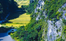 Thưởng ngoạn mùa vàng Tam Cốc