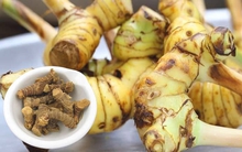 2 loại củ vừa là “khắc tinh” của ung thư, vừa là "thần dược" trị đau dạ dày, xương khớp hiệu quả