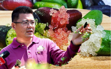 "Hoa quả sơn" với hơn 130 loại kỳ hoa dị thảo của nông dân 8x: Phát triển giống cây lạ, thu hút cực đông du khách tham quan