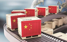 Ngôi vương công xưởng thế giới bị lung lay: Doanh nghiệp Trung Quốc đối mặt những "lựa chọn đau đớn" khi thế hệ F1 nắm quyền