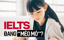 Quan điểm 'gây bão' mạng: Ở Việt Nam, chứng chỉ IELTS đang ngày càng 'méo mó'