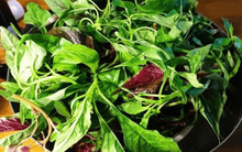 Loại rau 'bổ hơn thịt, rẻ như cho' được mệnh danh là thần dược cho sức khỏe