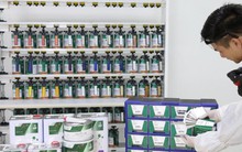 Doanh nghiệp sơn là đối tác của Audi, BMW, Land Rover... nhận được lợi ích bất ngờ từ chương trình hỗ trợ chuyển đổi số của Bộ KH-ĐT và USAID