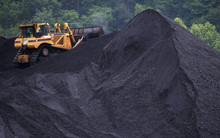 Giá than châu Á thấp nhất 2 năm, vì sao?