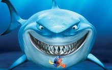 Vừa tung 1.300 tỷ đồng để trở thành cổ đông lớn, tổ chức nước ngoài tiếp tục muốn gom thêm cổ phần Sotrans (STG)