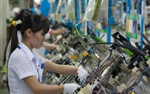 Doanh nghiệp lội ngược dòng