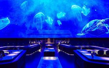 Khám phá 10 nhà hàng tốt nhất thế giới năm 2023 để biết điều gì làm nên chất lượng xứng tầm