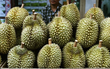 Chuyện kỳ lạ tại thành phố đắt đỏ nhất châu Á: Loại trái cây vua của Việt Nam đang có giá bán chưa đến 24.000 đồng/kg