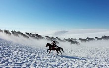 Khi Trung Quốc quảng bá du lịch: Đích thân Giám đốc Sở cưỡi ngựa trên thảo nguyên, mặc cổ trang kiếm hiệp, "diễn sâu" giữa tiết trời - 20 độ C