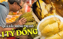 Bí mật quả sầu riêng trị giá hơn 1 tỷ đồng được giới siêu giàu săn lùng nhất thế giới: Quy trình chăm sóc kĩ lưỡng, có tiền chưa chắc đã mua được