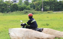 Vượt hơn 80km để săn châu chấu, nông dân Nghệ An kiếm tiền triệu mỗi ngày