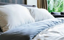 7 thứ chứa nhiều vi khuẩn gây bệnh mà chúng ta vẫn tiếp xúc hàng ngày