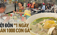 Chủ tiệm miến gà Kỳ Đồng vừa được vinh danh Michelin - thẳng thừng từ chối về lời đồn góp phần giúp tiệm trở thành Top 1 nơi bán miến gà nhiều nhất TP.HCM