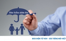 Rà soát lại toàn bộ hợp đồng và hoạt động của các đại lý bảo hiểm nhân thọ