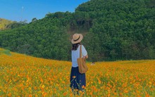 Đi đồi hoa hóa nàng thơ chụp ảnh siêu xinh, nghỉ ngơi thư thái trong 2 ngày 1 đêm chỉ với 900.000 đồng