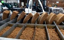 Mặt hàng này của Việt Nam bất ngờ đắt hàng tại Nga: Xuất khẩu tăng gần 500% trong 5 tháng đầu năm, là ngành hàng Nga có sản lượng đứng thứ 5 trên thế giới