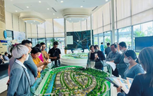 Bắt buộc giao dịch bất động sản qua sàn là cơ sở xác định giá đất