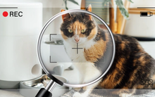 Cảnh báo tình trạng đồ vật công nghệ có thể âm thầm theo dõi người dùng