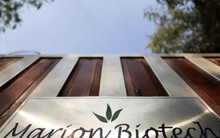 Reuters: Hãng dược Ấn Độ dùng thành phần thuốc trừ sâu làm xi-rô trẻ em