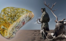 Món đặc sản có thể gây ra hậu quả thảm khốc cho người ăn, trừ cư dân ở miền Bắc nước Nga