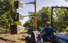 Cách ứng dụng máy bay không người lái, AI và big data vào trồng trọt ở Israel