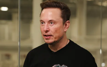 Elon Musk luyện tập với võ sỹ huyền thoại cho trận "so găng" với Mark Zuckerberg