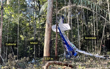 Làm sao 4 đứa trẻ sống sót khi máy bay rơi xuống Amazon?