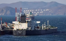 Bất chấp bị cấm cửa, “vàng đen” của Nga vẫn chảy vào châu Âu nhờ 2 ông lớn này, âm thầm giải cứu hàng triệu tấn nhiên liệu kể từ đầu năm