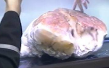 Bỏ quên 'tảng thịt' suốt nửa năm, ngư dân tròn mắt khi biết đó là thứ quý như vàng