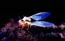 Sau mức tăng 245% của cổ phiếu "máy photocopy" trên HOSE: Toàn bộ nhóm cổ đông nước ngoài thoái vốn, bán tài sản