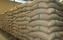 Nhiều quốc gia tăng nhập khẩu hàng nghìn %, đây là loại nông sản có mức tăng mạnh nhất trong 6 tháng đầu năm - Bức tranh lợi nhuận của các ông lớn ra sao?