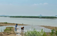 Hà Nội chấp thuận đề án xây dựng công viên văn hoá tại bãi giữa sông Hồng