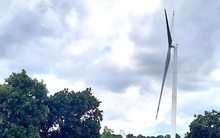 Huyện yêu cầu dừng, doanh nghiệp vẫn chạy thử nghiệm 14 trụ điện gió