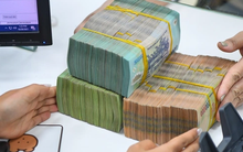 Hàng trăm dự án nộp hồ sơ vay gói tín dụng 120.000 tỷ đồng