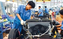 Học ngành gì học phí thấp?