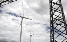 ĐBQH Lê Thanh Vân đề nghị Chính phủ thanh tra đặc biệt EVN